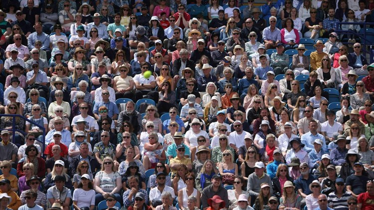 crowd of people at a tennis match