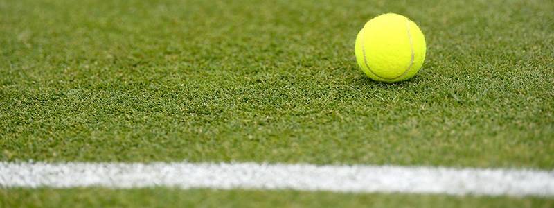 Tennis ball on a grass tennis court