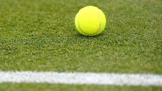 Tennis ball on a grass tennis court