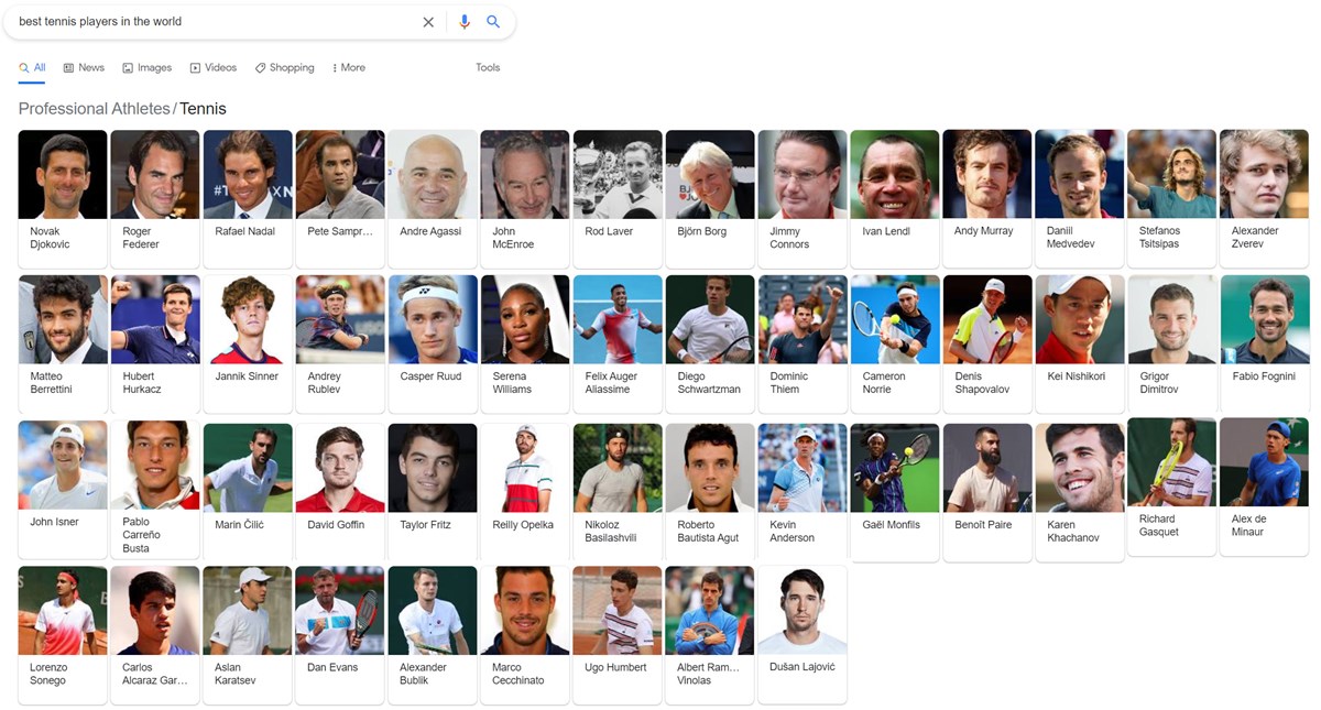 Example search result for best tennis players in the world