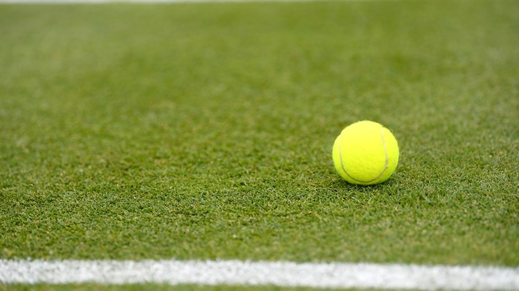 Tennis ball on a grass tennis court