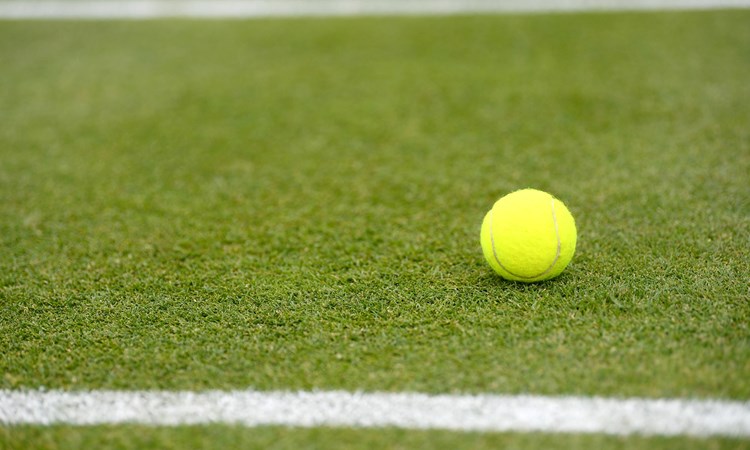 Tennis ball on a grass tennis court