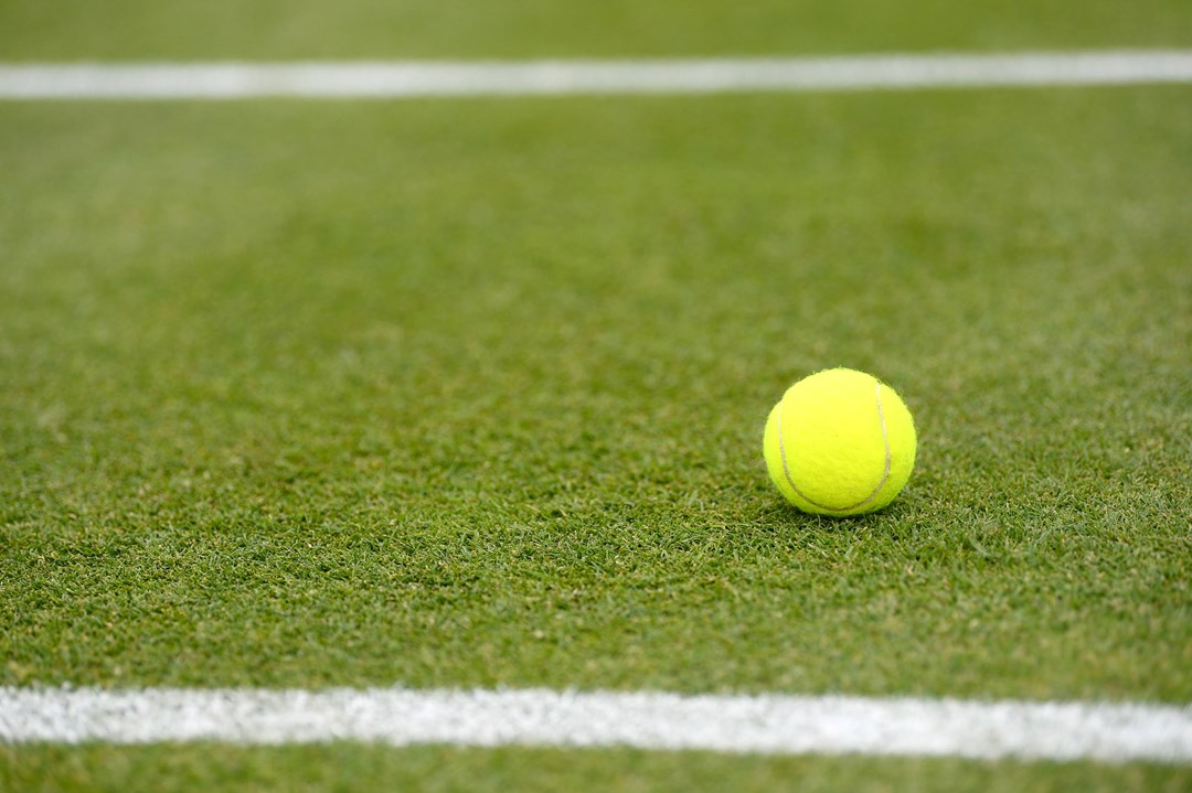 Tennis ball on a grass tennis court