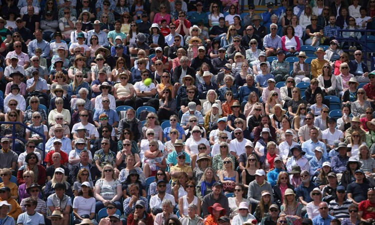 crowd of people at a tennis match