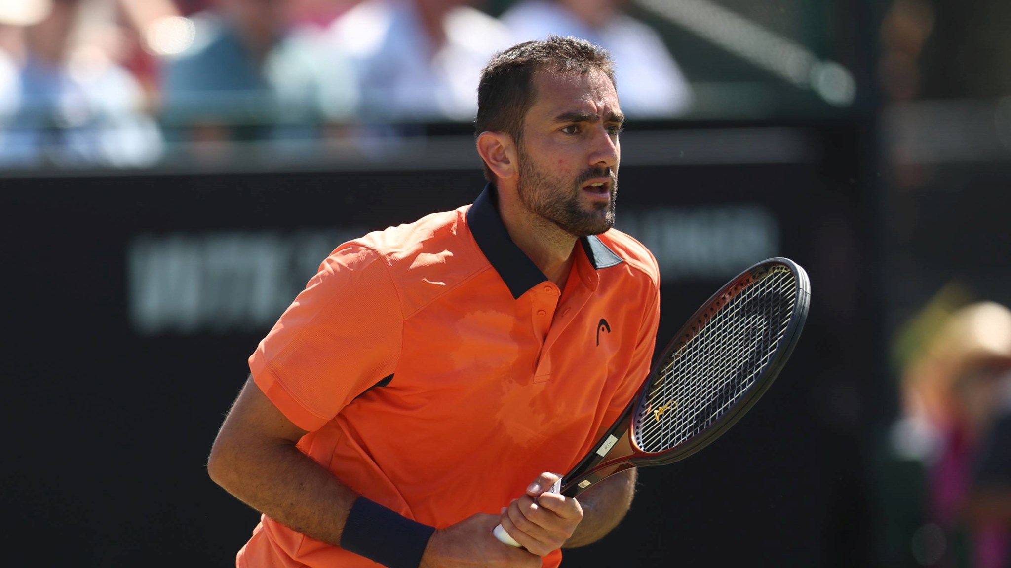 Marin Cilic prepares to return a serve at the Lexus Nottingham Open
