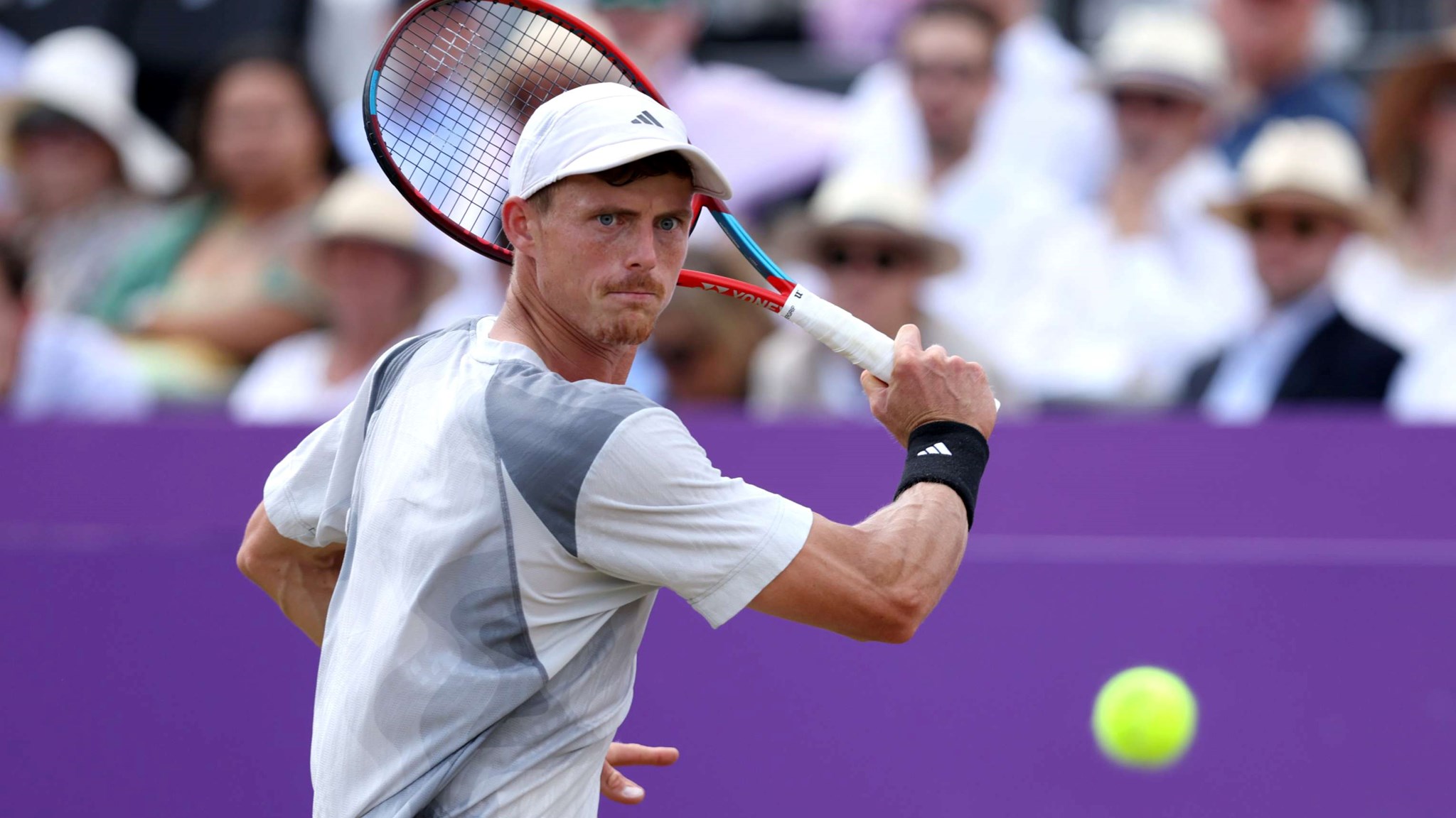 cinch Championships 2024: Harris misses out on semi-final spot to Musetti