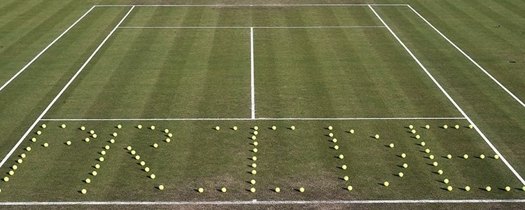 tennis ball pride