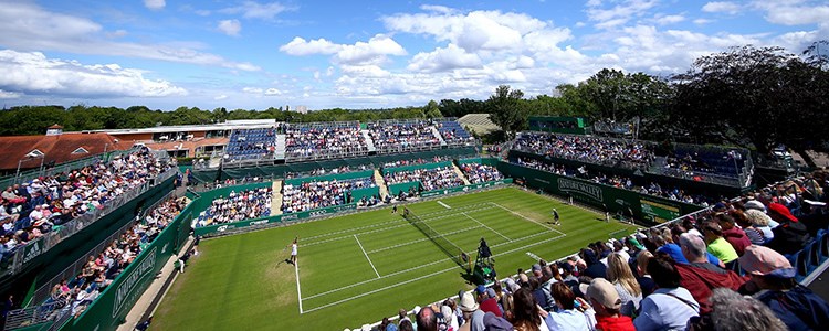 Grass court tennis match with crowd watching from stands