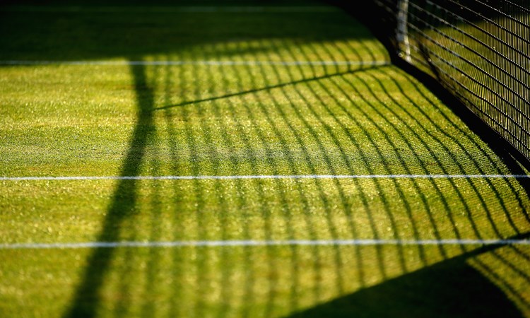 Grass tennis court with shadows from the net visible