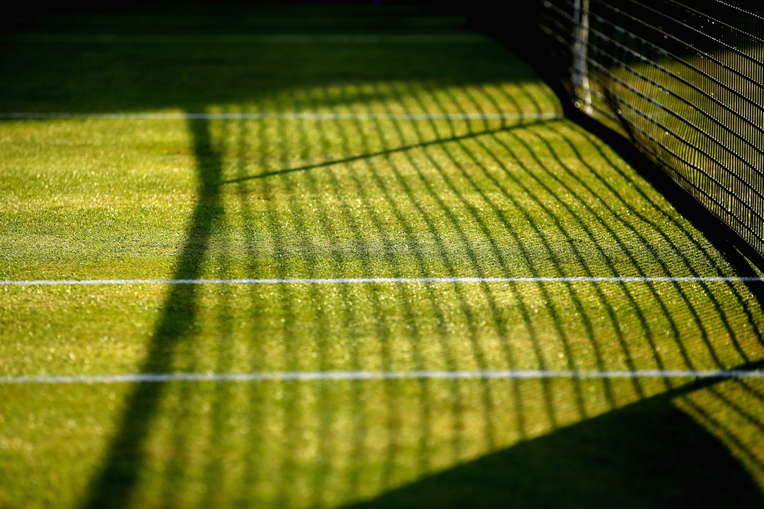 Grass tennis court with shadows from the net visible