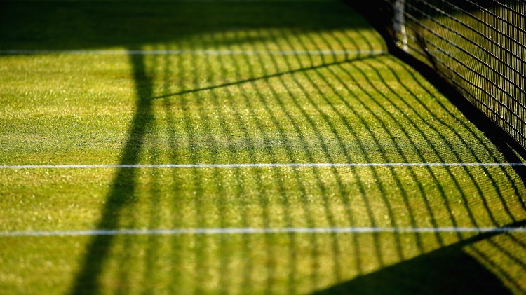 Grass tennis court with shadows from the net visible