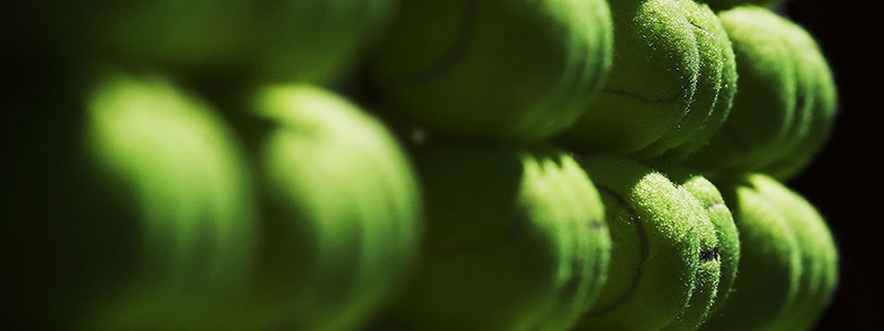 tennis-balls-yellow.jpg