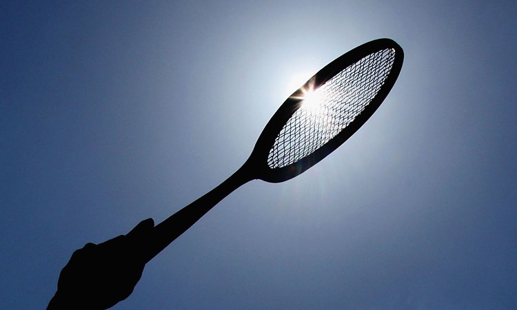 Sunlight through a tennis racket