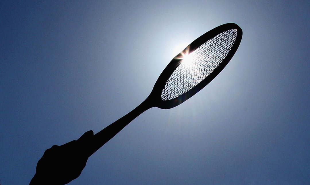 Sunlight through a tennis racket