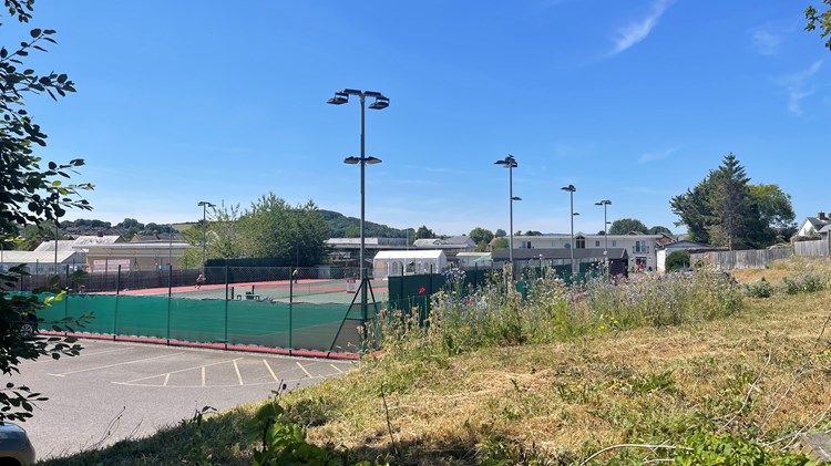 The LTA Pledgeball League sees record engagement in its third year