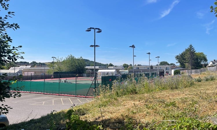 The LTA Pledgeball League sees record engagement in its third year