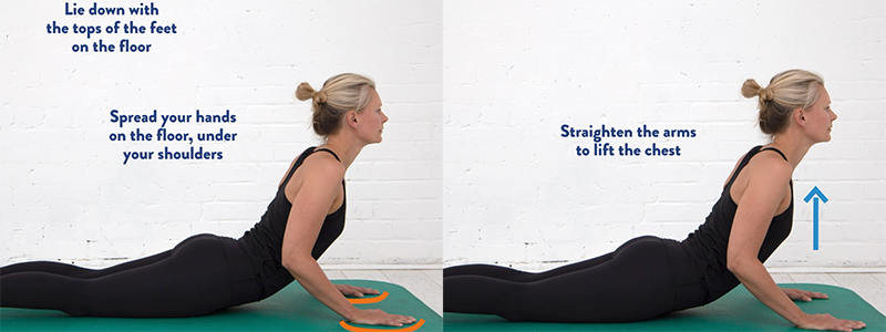 yoga-cobra.jpg
