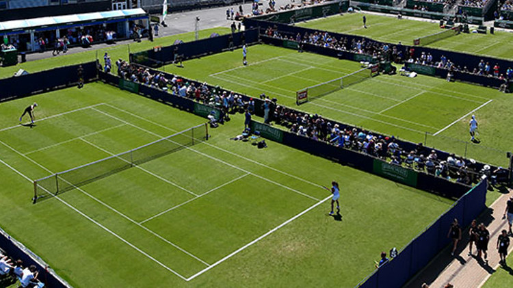Wimbledon grass courts
