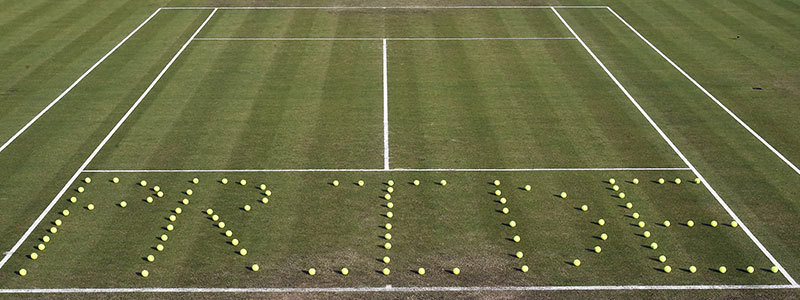 tennis ball pride