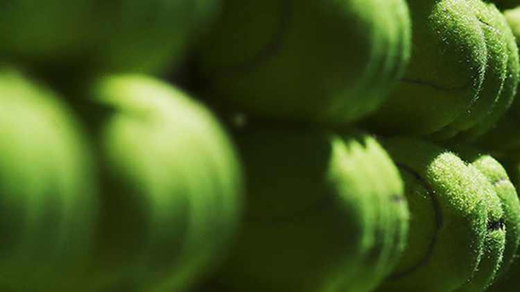 close up image of yellow tennis balls