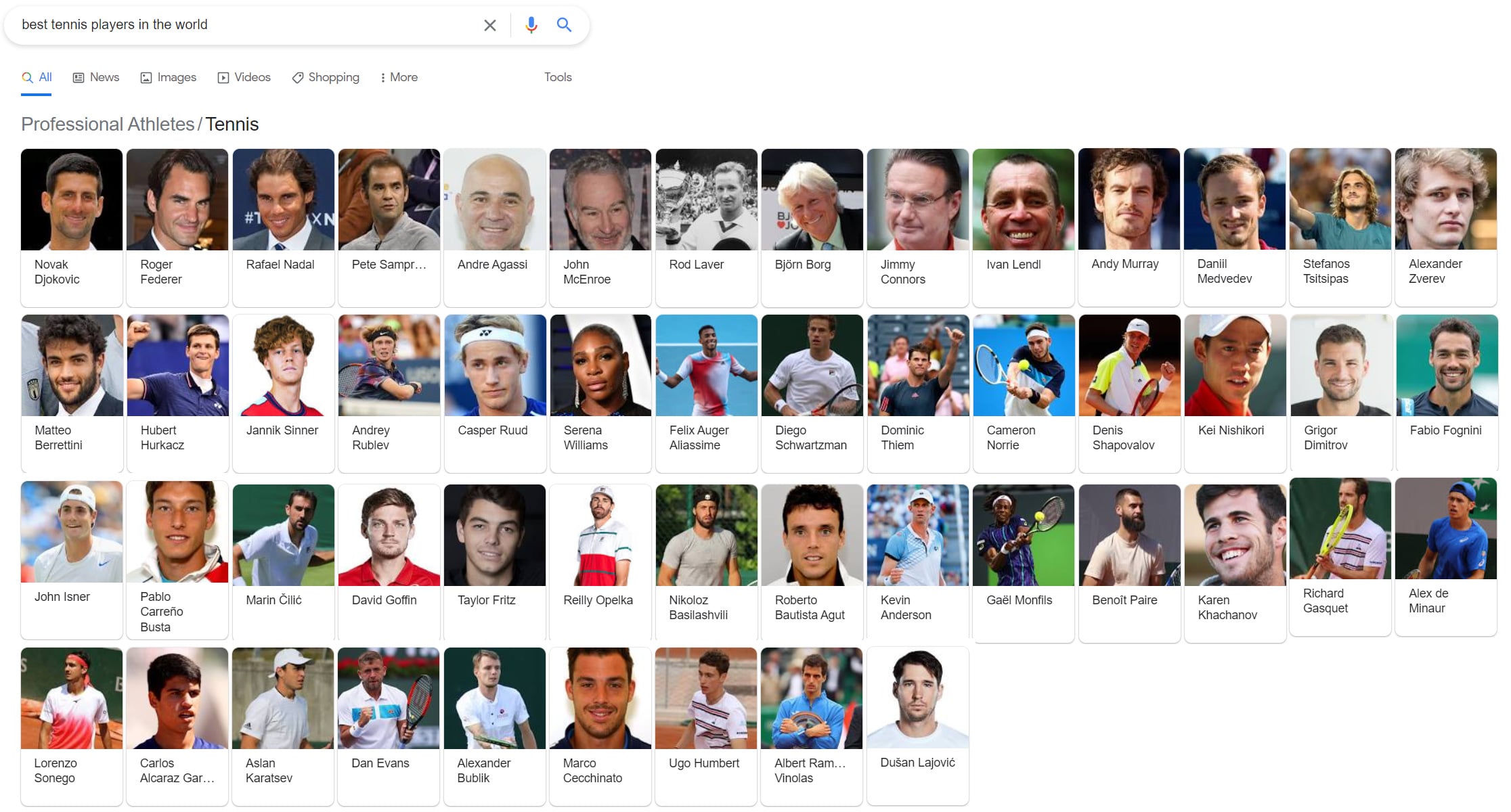 Example search result for best tennis players in the world