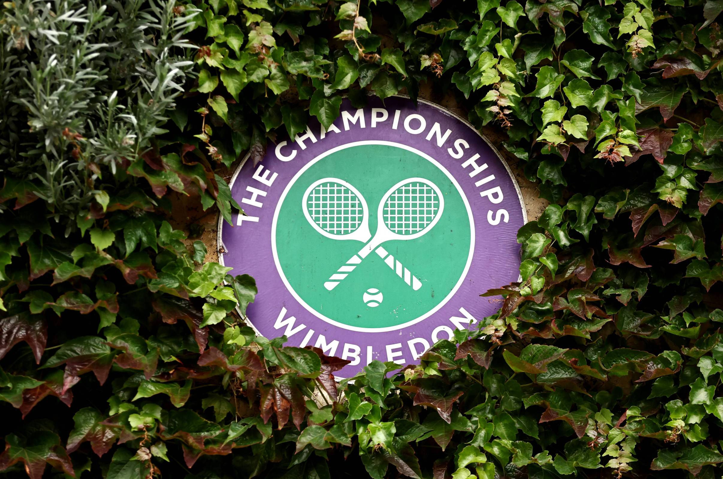 Wimbledon logo decoratively placed in a bush